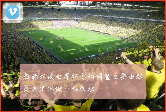 图赫尔谈世界杯号码调整主要由球员决定仅做小幅改动